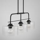 HomePlace by Capital Lighting Matte Black 100W 1-Light Medium E-26 Incandescent Pendant 
