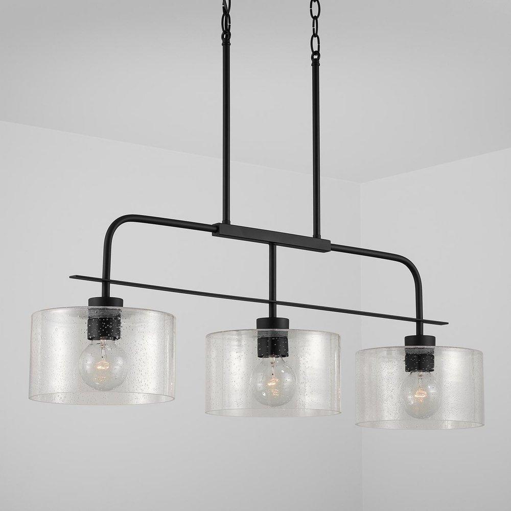 HomePlace by Capital Lighting Matte Black 100W 1-Light Medium E-26 Incandescent Pendant 