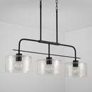 HomePlace by Capital Lighting Matte Black 100W 1-Light Medium E-26 Incandescent Pendant 