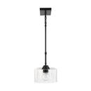 HomePlace by Capital Lighting Matte Black 100W 1-Light Medium E-26 Incandescent Pendant 