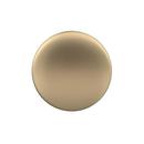 Amerock Golden Champagne 1-3/8 in. Oval Knob 