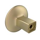 Amerock Golden Champagne 1-3/8 in. Oval Knob 