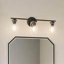 Millennium Lighting Matte Black 100W 3-Light Medium E-26 Vanity Fixture 
