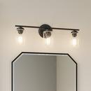 Millennium Lighting Matte Black 100W 3-Light Medium E-26 Vanity Fixture 