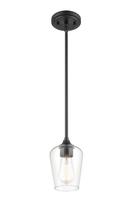 1-Light Mini-Pendant Light in Matte Black