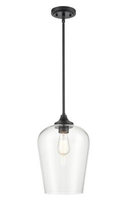 1-Light Mini-Pendant Light in Matte Black