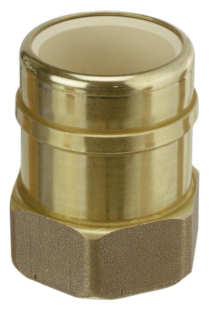 Sioux Chief FIP x Socket CPVC and DZR Brass Adapter with EPDM O-ring 