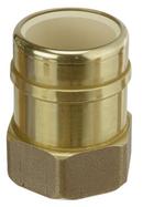 Sioux Chief FIP x Socket CPVC and DZR Brass Adapter with EPDM O-ring