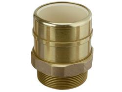 2 in. Socket x MIP CPVC and Brass Adapter