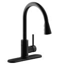 Single Handle Pull Down Kitchen Faucet in Matte Black 