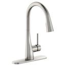 Elkay Lustrous Steel Single Handle Pull Down Kitchen Faucet 