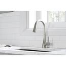 Elkay Lustrous Steel Single Handle Pull Down Kitchen Faucet 
