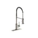 Elkay Lustrous Steel Single Handle Pull Down Kitchen Faucet 
