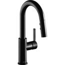 Elkay Matte Black Single Handle Bar Faucet 