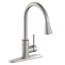 Single Handle Pull Down Kitchen Faucet in Lustrous Steel 