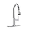 PROFLO&reg; Polished Chrome Single Handle Pull Down Kitchen Faucet 