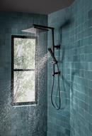 Brizo Matte Black Single Handle Single Function Shower System 