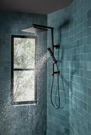 Brizo Matte Black Single Handle Single Function Shower System 