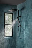 Brizo Matte Black Single Handle Single Function Shower System 