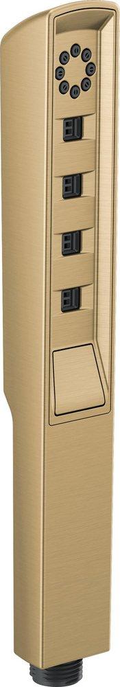 Brizo Brilliance Luxe Gold Multi Function Hand Shower 