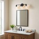 Meridian Matte Black 60W 3-Light Medium E-26 Vanity Fixture 