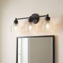 Meridian Matte Black 60W 3-Light Medium E-26 Vanity Fixture 