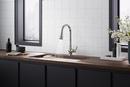 KOHLER Vibrant Polished Nickel Single Handle Pull Down Kitchen Faucet 