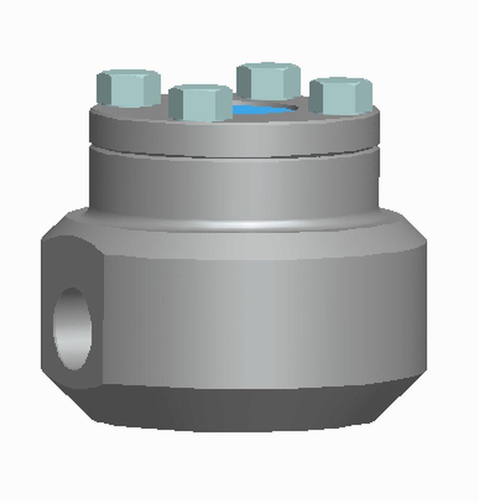 Vogt Valves 800# SW A105 T8 Piston Check Valve Reduced Port Bolted Cover Forged Steel, API 602 