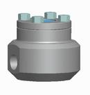 1in. 800# SW A105 T8 Piston Check Valve Reduced Port Bolted Cover Forged Steel, API 602