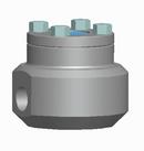 Vogt Valves 800# SW A105 T8 Piston Check Valve Reduced Port Bolted Cover Forged Steel, API 602 