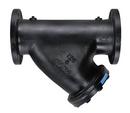 FNW&reg; Wye Cast Iron, Stainless Steel Flanged Valve Strainer 