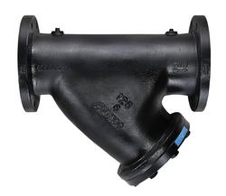 2-1/2 in. Cast Iron 125# Flanged Wye Strainer