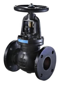3 in. Cast Iron Flanged Globe Valve