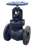 FNW&reg; Flanged Globe Valve 