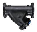 FNW&reg; Wye Cast Iron, Stainless Steel Flanged Valve Strainer