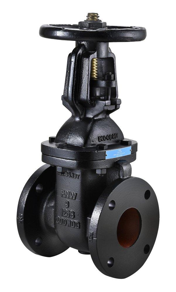FNW® Cast Iron Flanged Gate Valve 