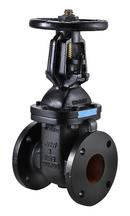 2-1/2 in. Cast Iron Flanged Gate Valve