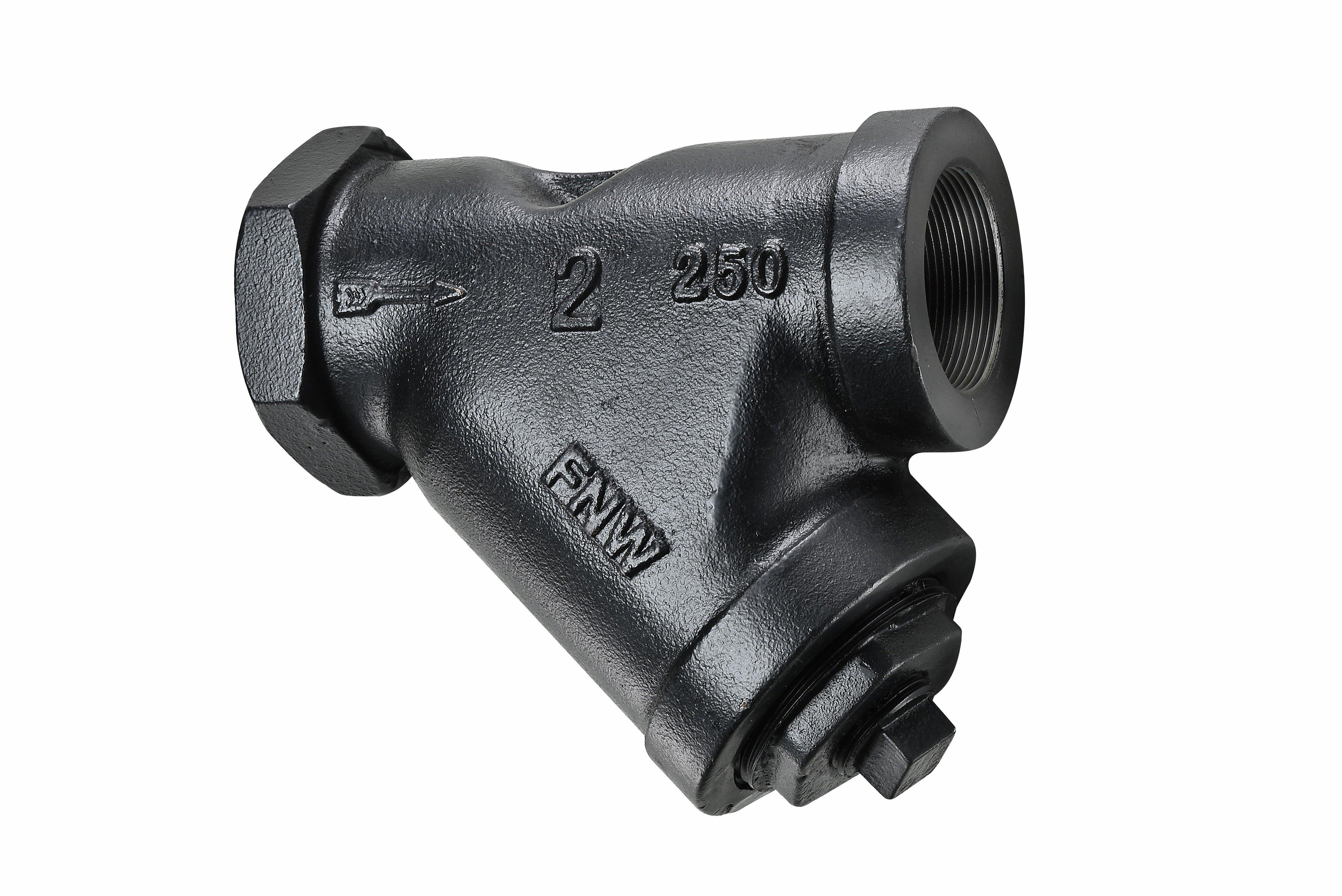 FNW&reg; Wye Cast Iron NPT 20 Mesh Valve Strainer 