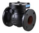 2 in. Cast Iron Flanged Swing Check Valve