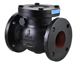 2-1/2 in. Cast Iron Flanged Swing Check Valve