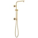 18 in. Shower Rail with Hose in Polished Gold