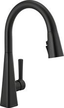 Single Handle Pull Down Kitchen Faucet in Matte Black