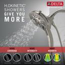 Delta Faucet Brilliance Stainless Multi Function Hand Shower 