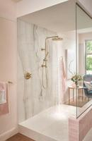 Single Handle Single Function Shower System in Luxe Gold 