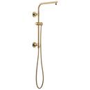 Single Handle Single Function Shower System in Luxe Gold