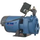 Flint & Walling Convertible Jet Pump 