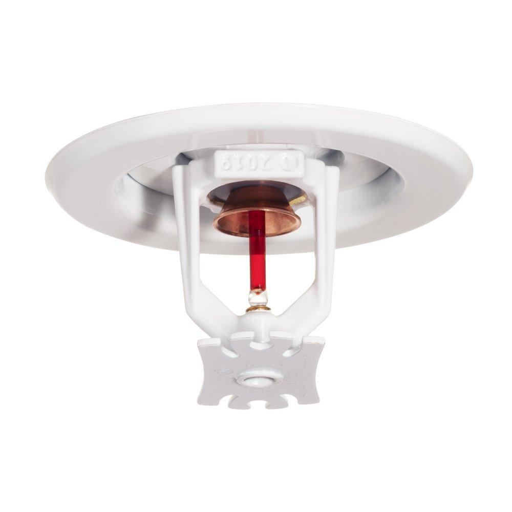 Tyco Pure White 3/4 in. 8K Pendent Sprinkler and Quick Response Sprinkler Head in Pure White 