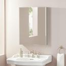 23 x 30 in. Medicine Cabinet 