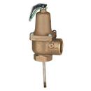 Watts Bronze FNPT 150# 210 Relief Valve 