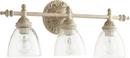 3 Light 24" Wide Bathroom Vanity Light with Clear Seedy Glass 
